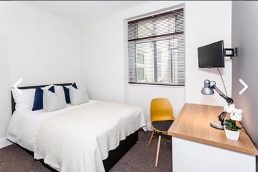 7 bed house, St. Peters Street, Plasnewydd, Cardiff, CF243BA - Image 11